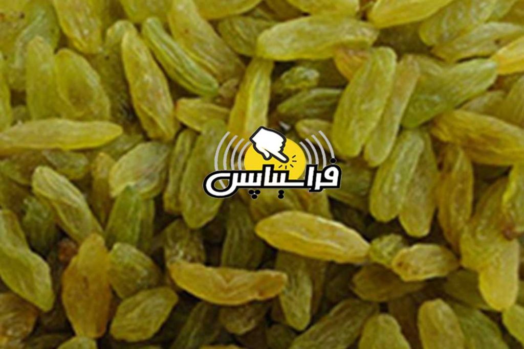 فروش کشمش سبز قلمی ممتاز