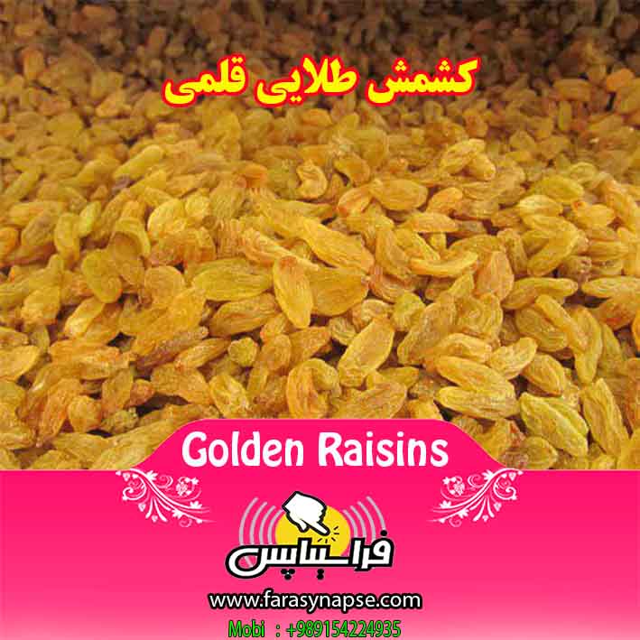 آدرس مراکز فروش عمده کشمش طلایی صادراتی ایران