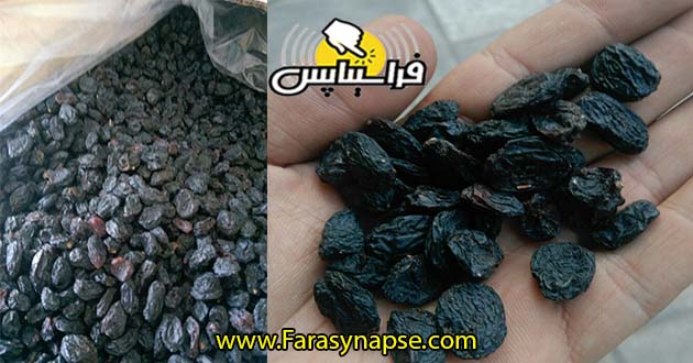 مویز افغانی ارزانترین کشمش سیاه بی دانه در بازار ایران