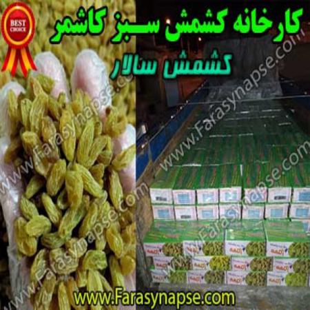 بازرگانی خرید کشمش سبز قلمی خلیل آباد