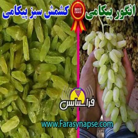 قیمت کشمش سایه خشک