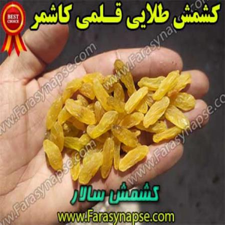 صادرات کشمش به ترکمنستان