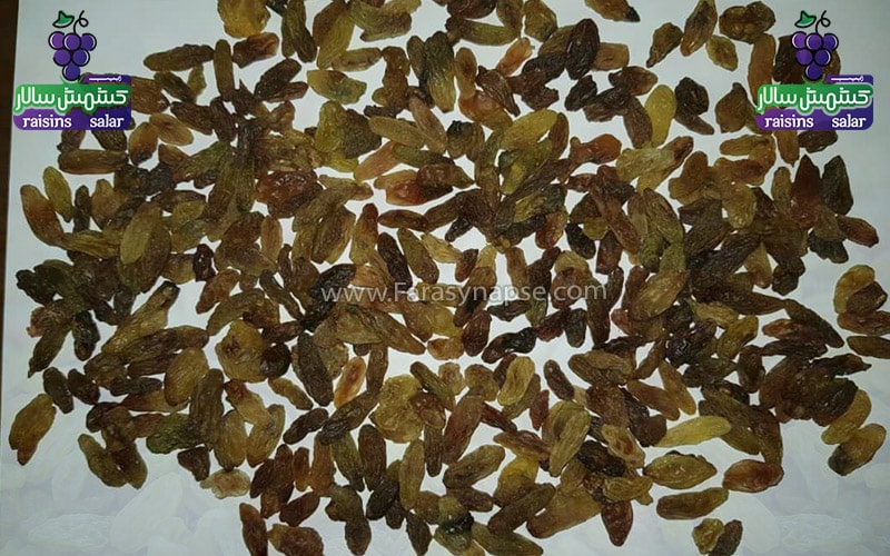 کشمش آفتابی کاشمر