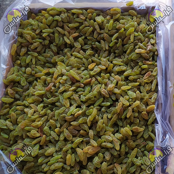 کشمش چایی