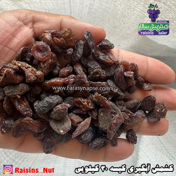 کشمش آفتابی مشهد