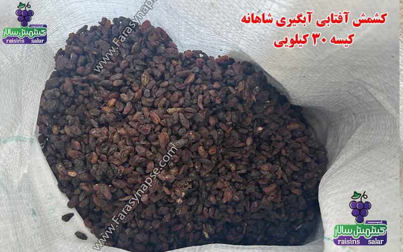 خرید کشمش آبگیری