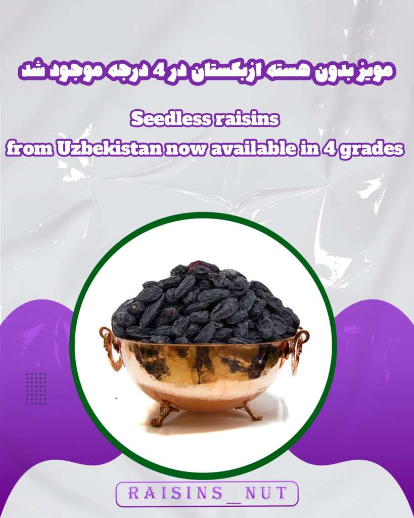 مویز بدون هسته خارجی