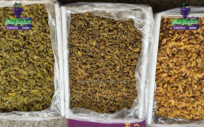 خرید عمده کشمش سبز