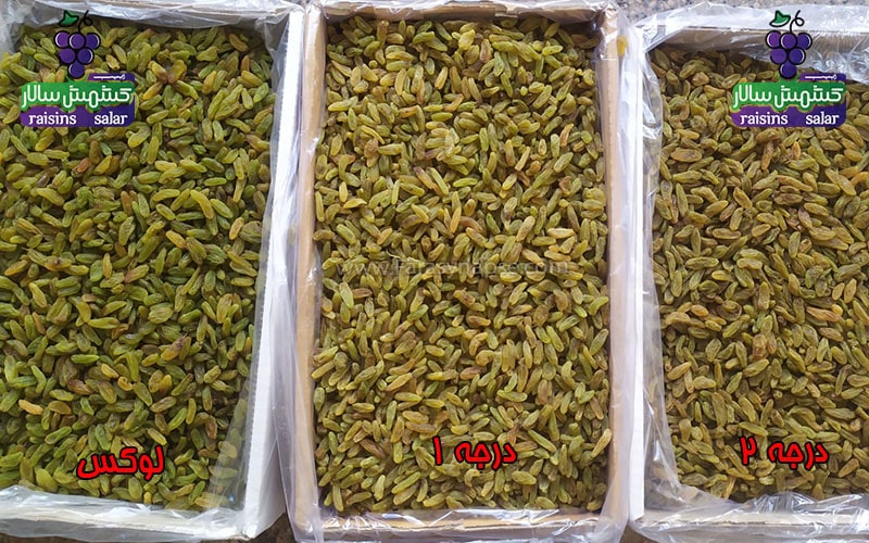 کشمش سبز کشیده