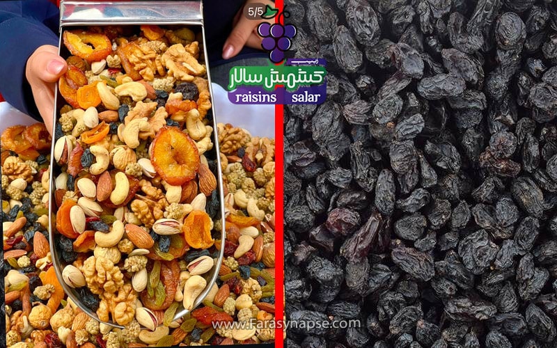 مویز اتم رویال