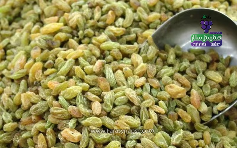 کشمش سبز عمده‌
