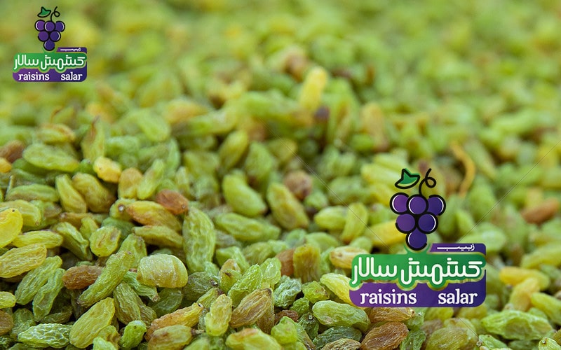 خرید عمده کشمش سبز