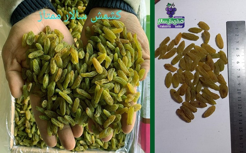 کشمش سبز قلمی