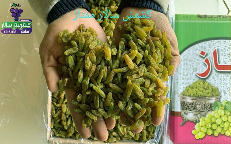 کشمش سبز عمده