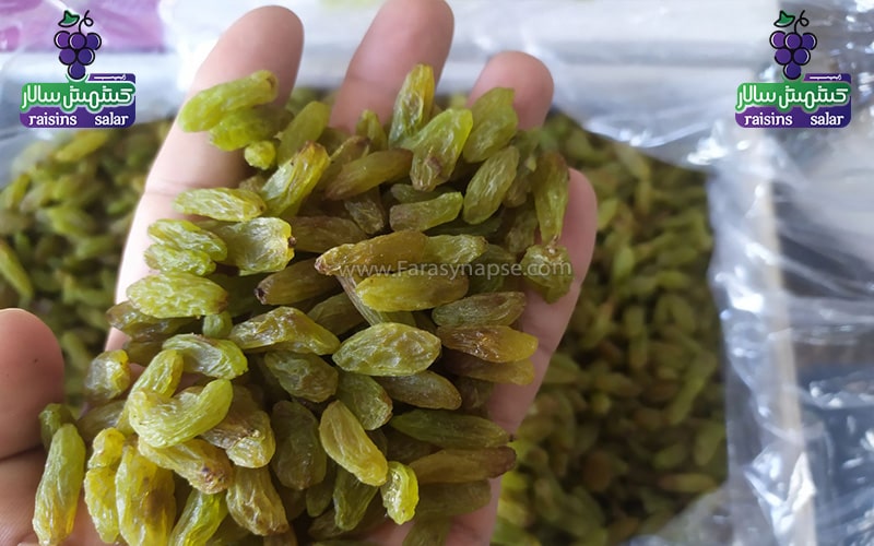 خرید کشمش سبز قلمی کاشمر
