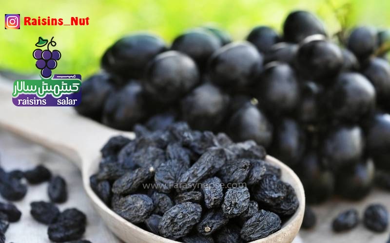 قیمت مویز سایه خشک