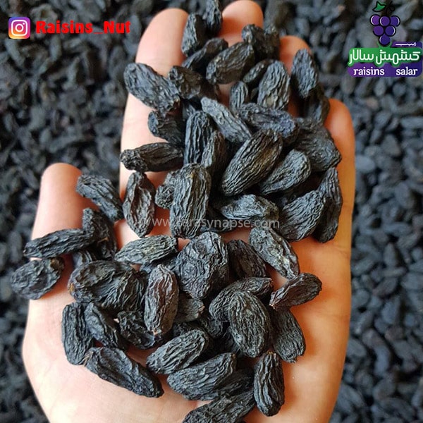 قیمت مویز خوب