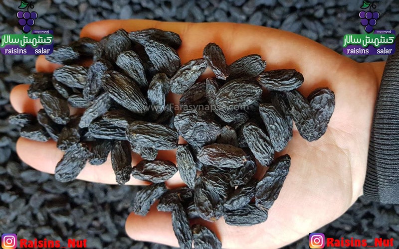 خرید مویز کاشمر