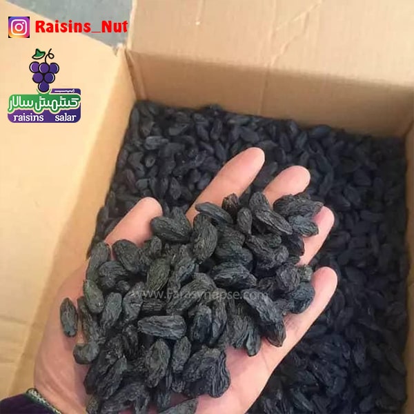 قیمت مویز خوب