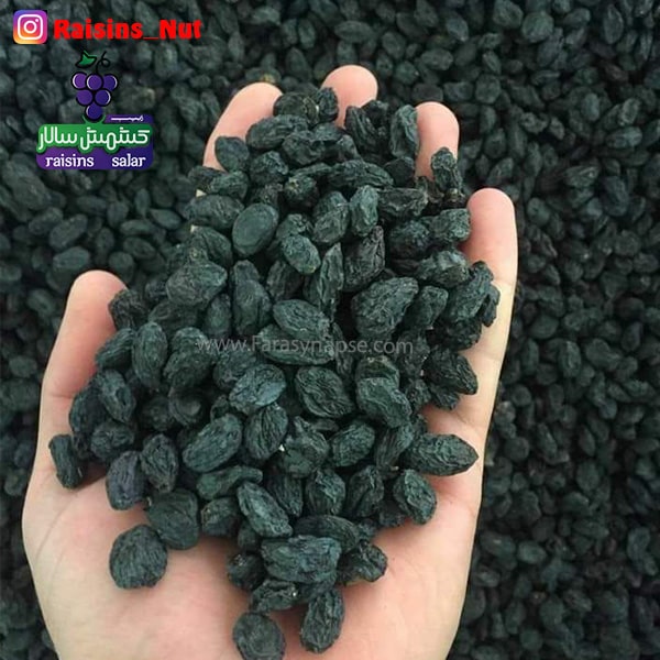 قیمت مویز در مشهد