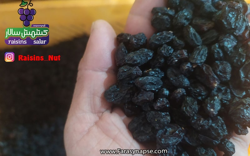 مویز انگور سیاه