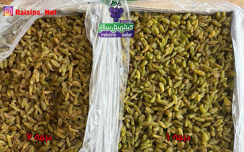 کشمش سبز کاشمری