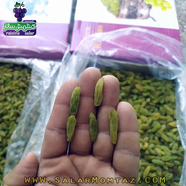 کشمش سبز کاشمری