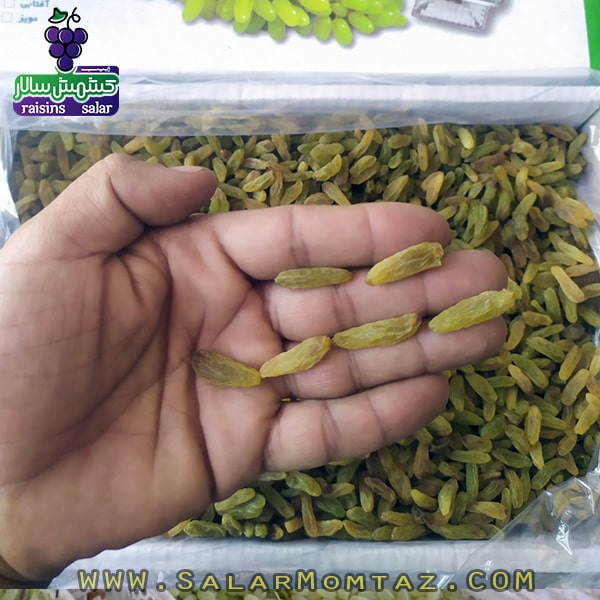 کشمش سبز کاشمری