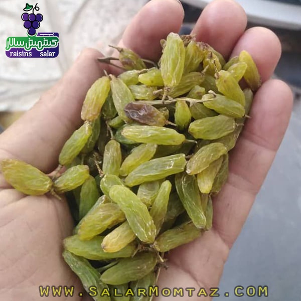 کشمش سبز مرغوب
