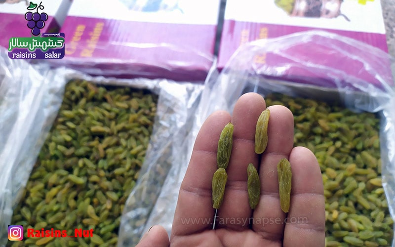 کشمش ممتاز کاشمر