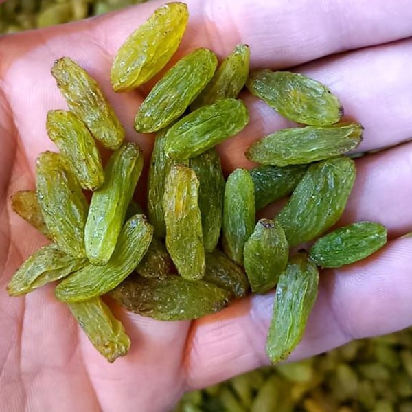 کشمش سبز کاشمری