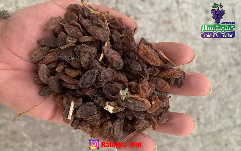 کشمش افتابی خلیل اباد کاشمر