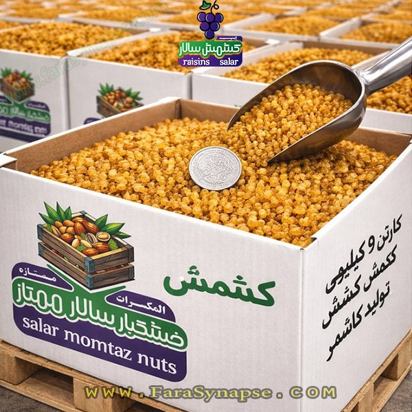 بهترین مارک کشمش پلویی