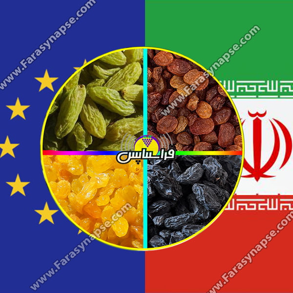 صادرات کشمش به اروپا