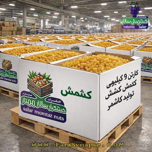 بهترین مارک کشمش پلویی