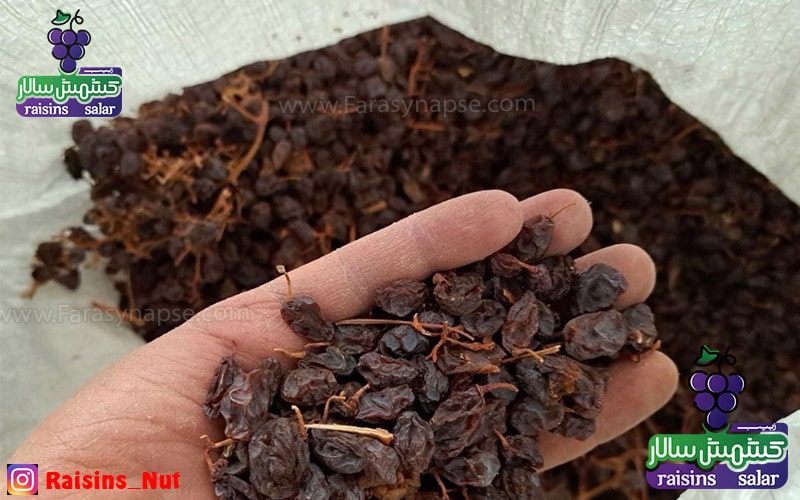 قیمت کشمش آفتابی عمده