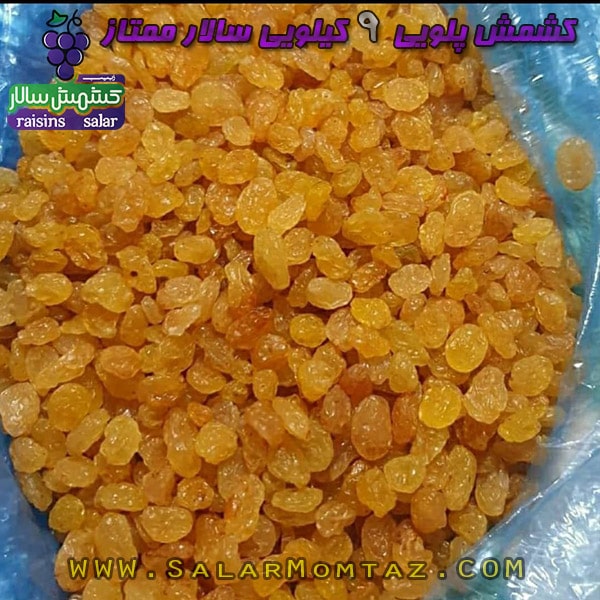 قیمت کشمش پلویی کارتنی