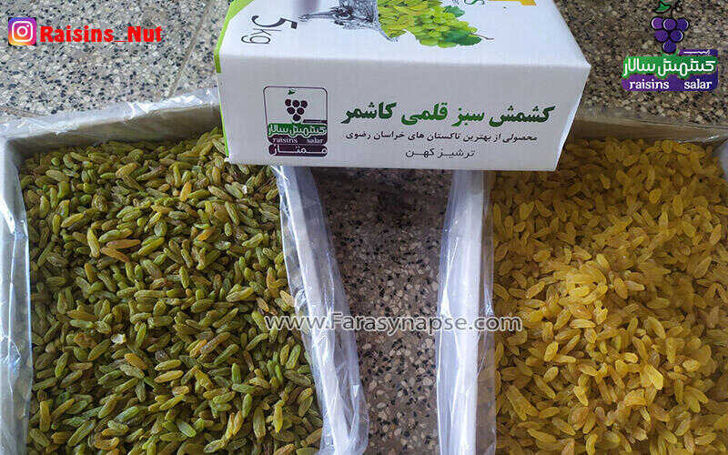 کشمش سبز کاشمر