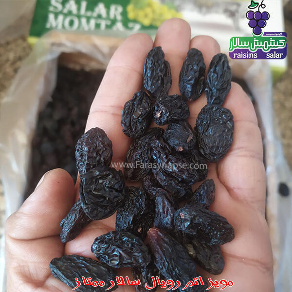 خرید مویز درشت