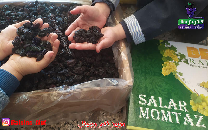 خرید مویز درشت