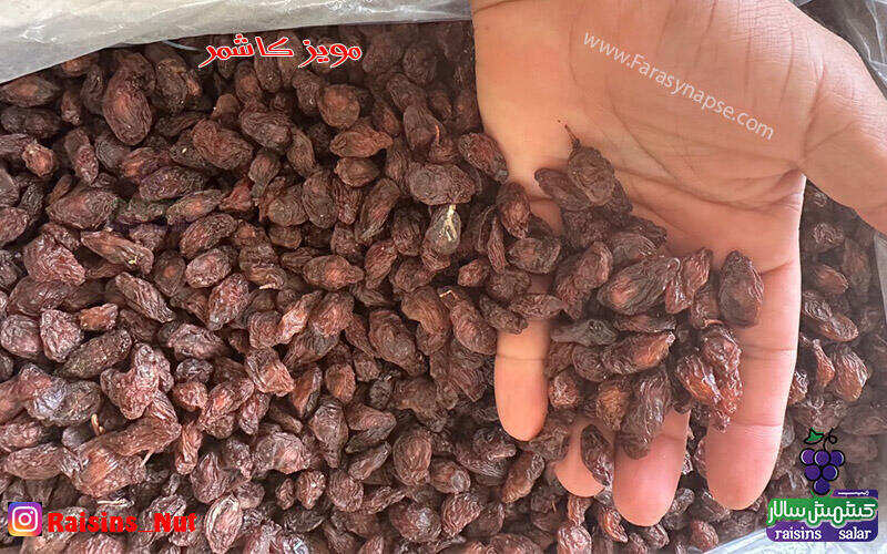 خرید مویز قرمز