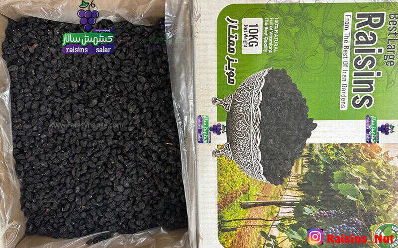 قیمت کشمش مشهد