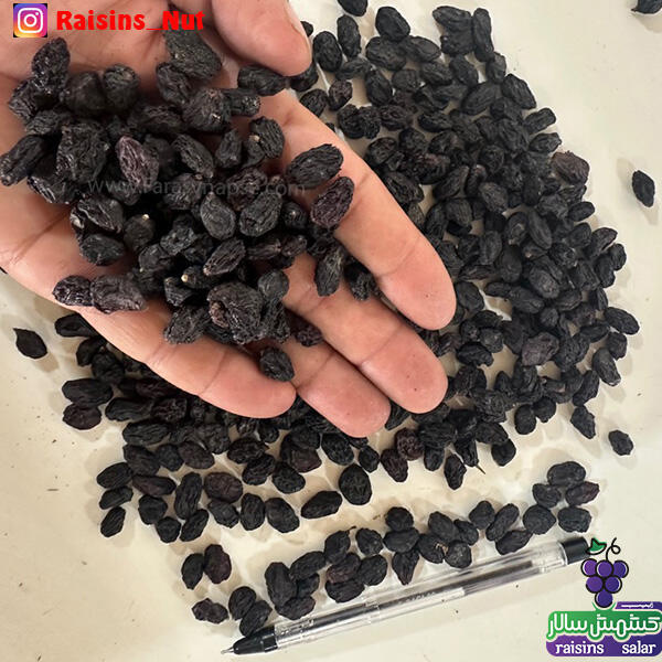 خرید مویز اعلا