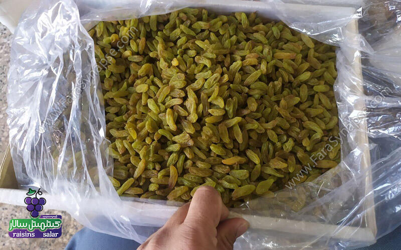 کشمش سبز کاشمر