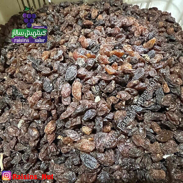 کشمش آفتابی آبگیری