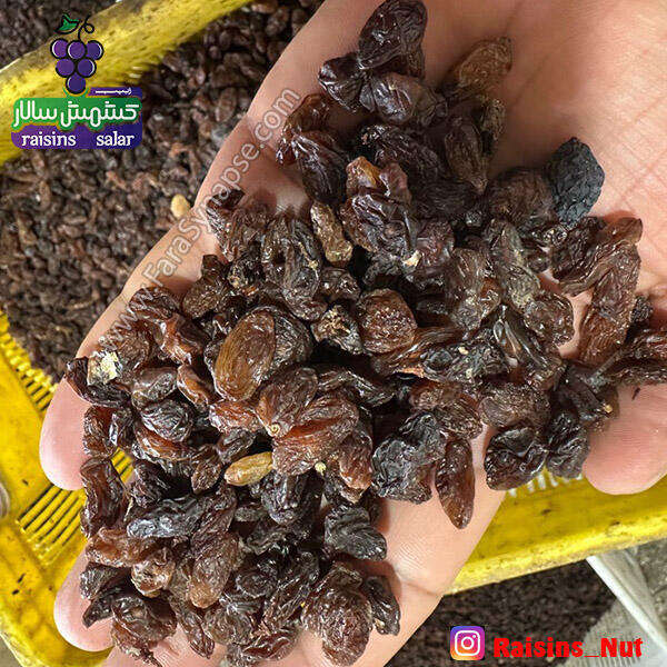 کشمش آفتابی آبگیری