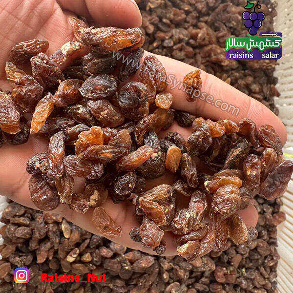 کشمش آفتابی آبگیری