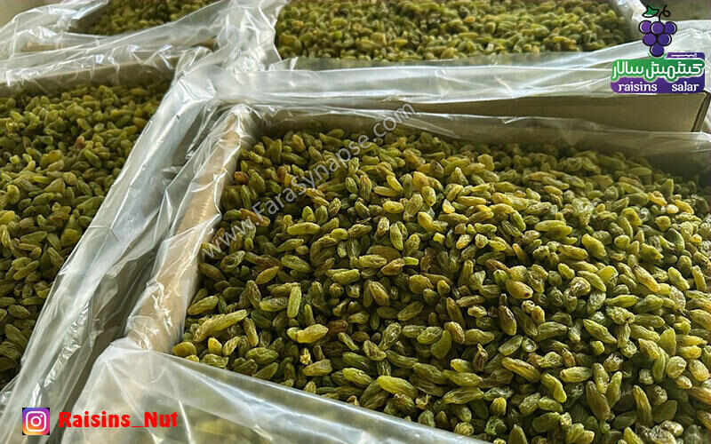 کشمش سبز قلمی صادراتی