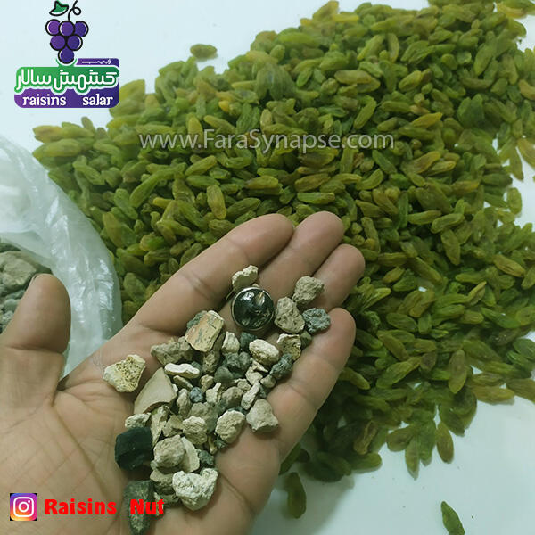 کشمش سبز قلمی صادراتی