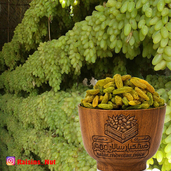 کشمش سبز لوکس